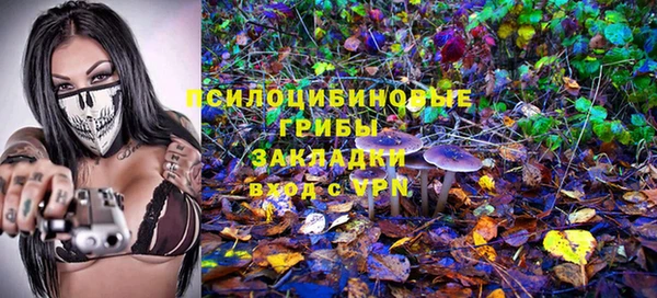 СК Алзамай