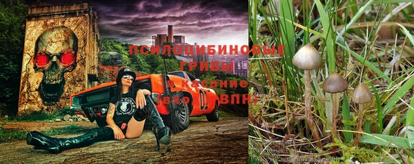сатива Алексеевка