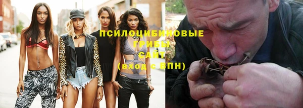 сатива Алексеевка